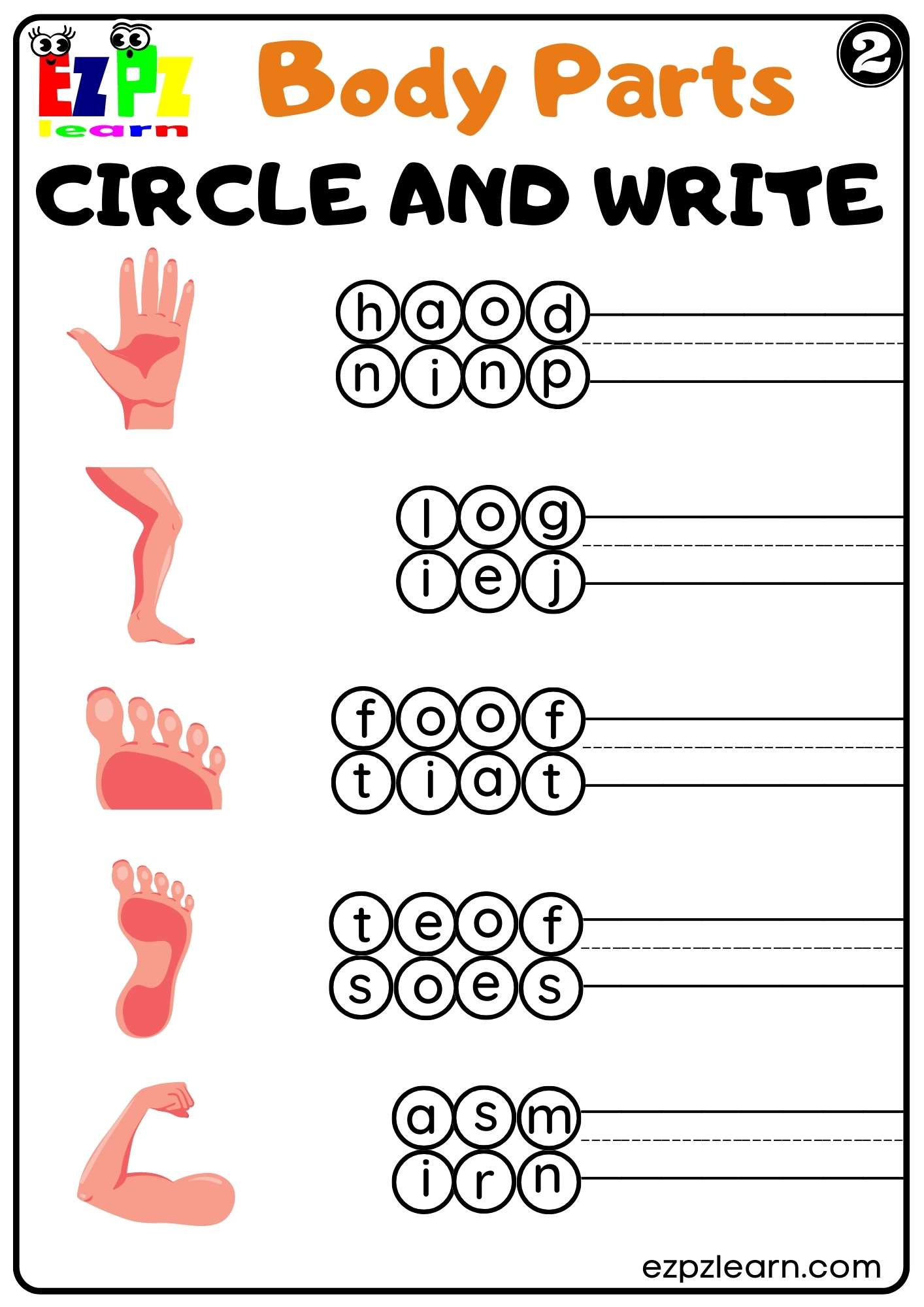 Body Parts Circle and Write Worksheets for Kids and ESL PDF Download set 3